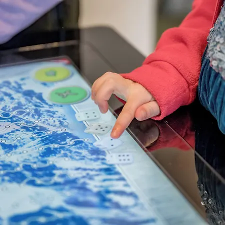 Camping Parque de Campismo